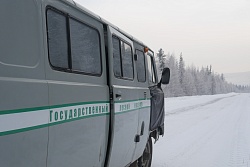 Лесной дозор